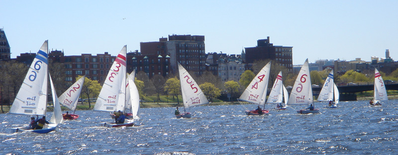 Fleet of FJs and Tech Dinghys
